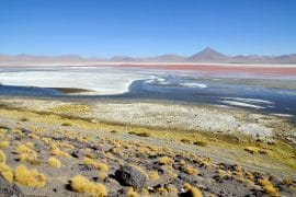 Laguna Colorada, Salar de Uyuni, Boliwia